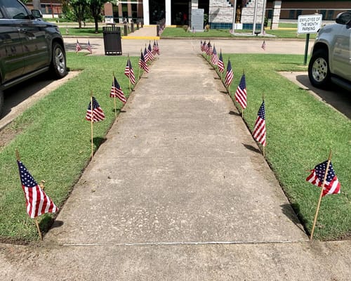 Sidewalk lined with small American flags at a veterans home