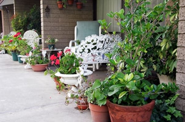 Outdoor space with potted plants and seating