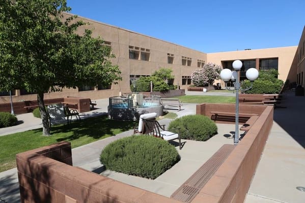 Outdoor garden area with seating and greenery