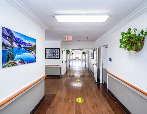 A well-lit interior hallway with artwork and plants