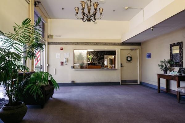 Interior view of the lobby with plants and reception area