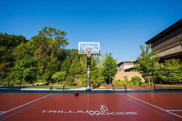 Outdoor basketball court with hoop and ball at The Birches at Trillium Woods