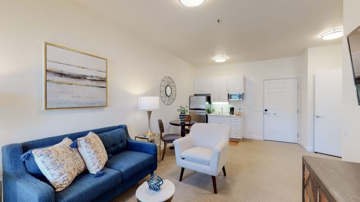 Comfortable living room with sofa and kitchenette