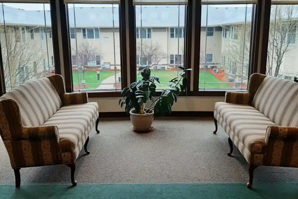 Seating area with two striped sofas and a potted plant near large windows