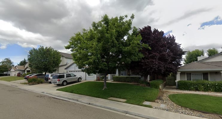 A residential street view with trees and parked cars.