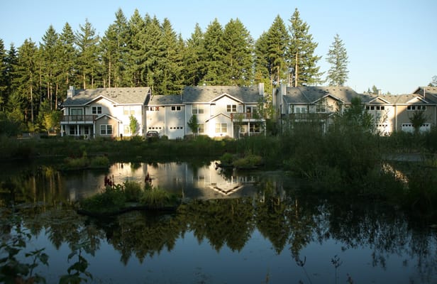 Reflection of Village Green buildings in a serene pond surrounded by greenery