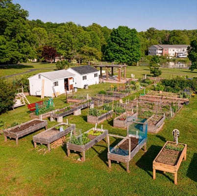 Aerial view of raised garden beds in a community garden