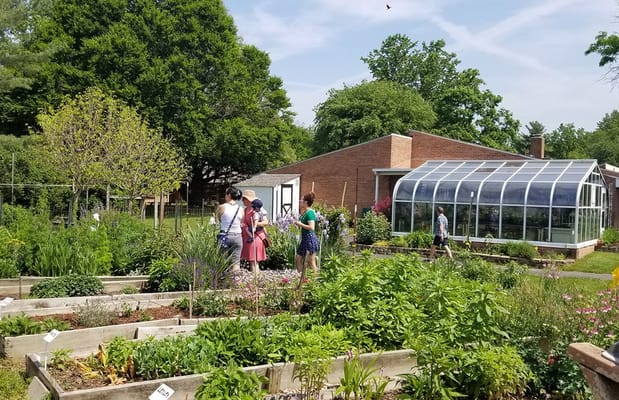 Residents participating in a gardening activity outside