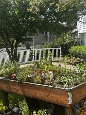 Garden area with plants and flowers in the facility