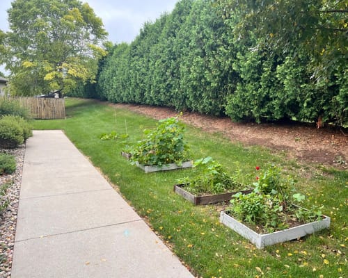 Garden area with raised beds alongside a walkway