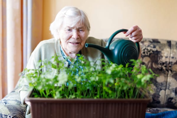 Elderly woman watering plants indoors