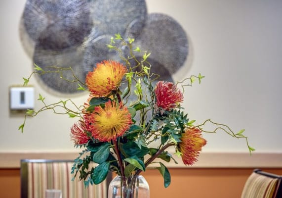 Fairwinds – Sand Creek