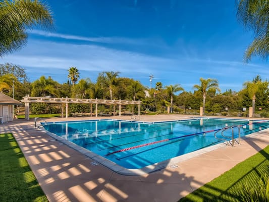 Outdoor pool area with palm trees and clear blue sky