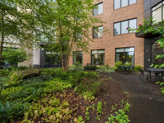 A serene outdoor area with lush greenery and seating