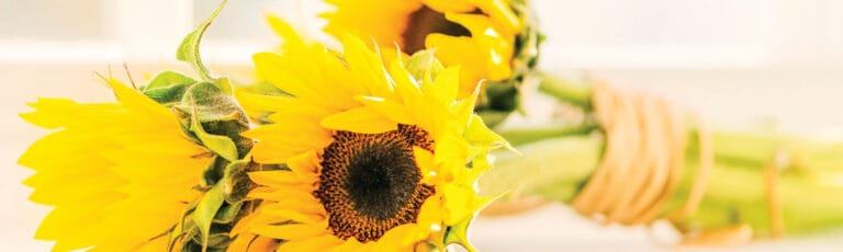 Homestead Assisted Living of Lenexa