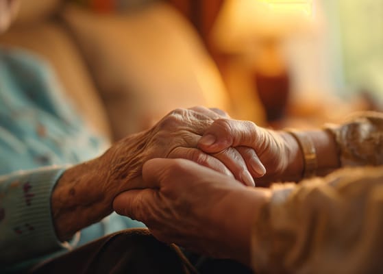 Two hands holding each other in a warm setting