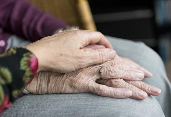 Two hands holding, symbolizing care and companionship