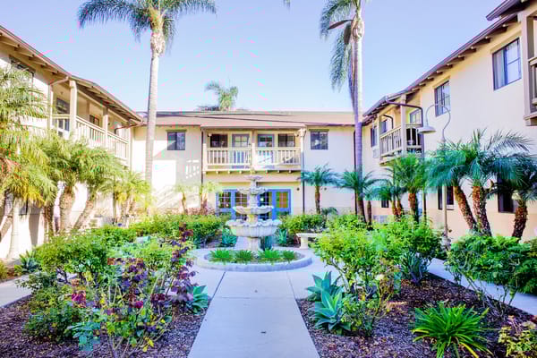 Outdoor garden area with a fountain and palm trees