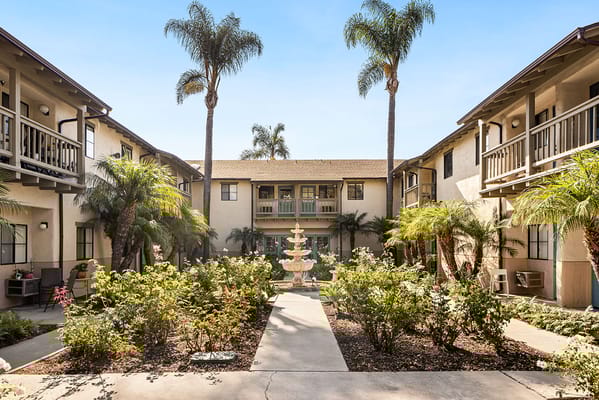 Beautiful courtyard with fountain and palm trees