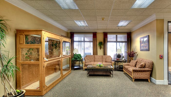 Seating area in a bright common room with decor
