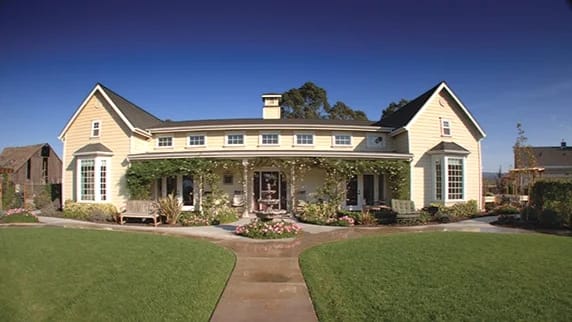 Magnolia and Primrose