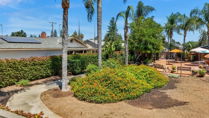 Beautiful garden with palm trees and vibrant flowers