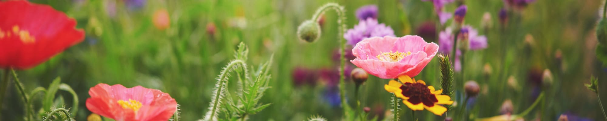 Providence Assisted Living