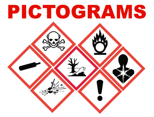 Pathfinder, Inc. Bamburg Complex