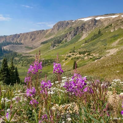 Namaste Home Health & Palliative & Hospice