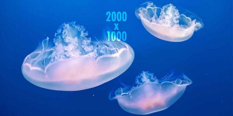 Almond Vista Healthcare