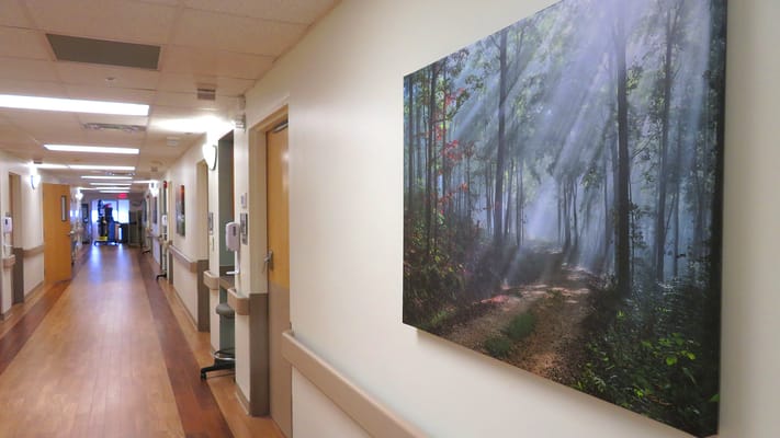 A hallway with a nature-themed mural