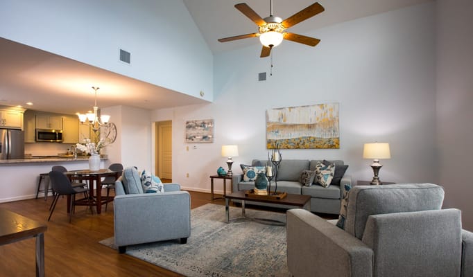 Cozy living room with gray furniture and modern decor