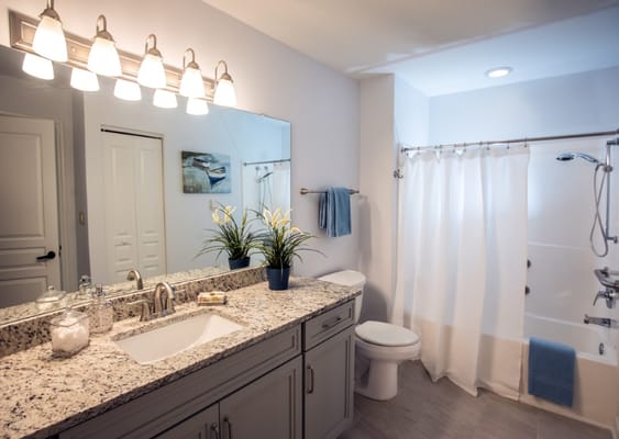 Modern bathroom with granite countertop and plants