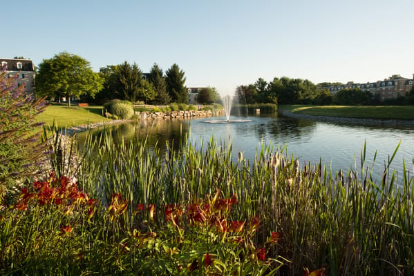 Beautiful landscaping around a tranquil pond with fountain