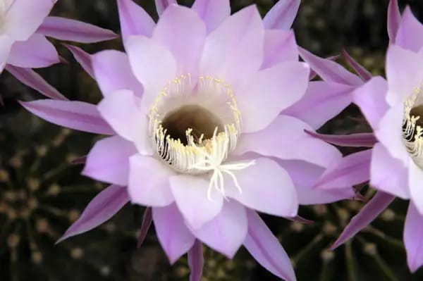 Catalina In-Home Services