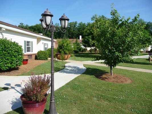 Pathway through landscaped area with trees and shrubs