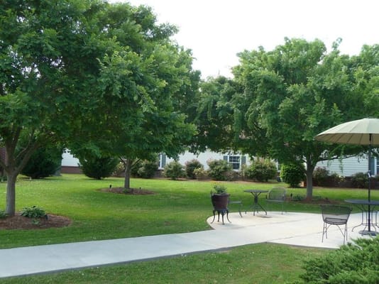 Beautiful outdoor space with trees and seating area