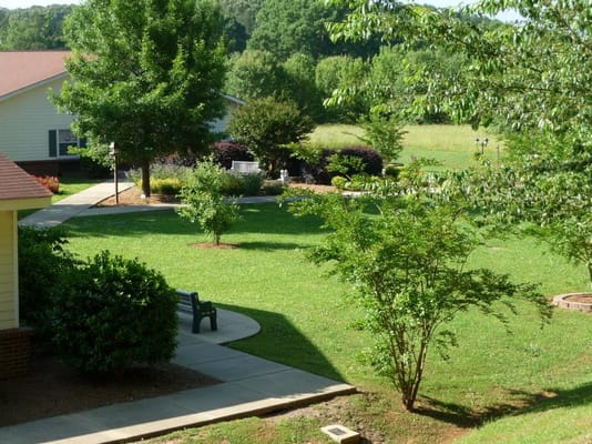View of a landscaped outdoor area with trees and benches