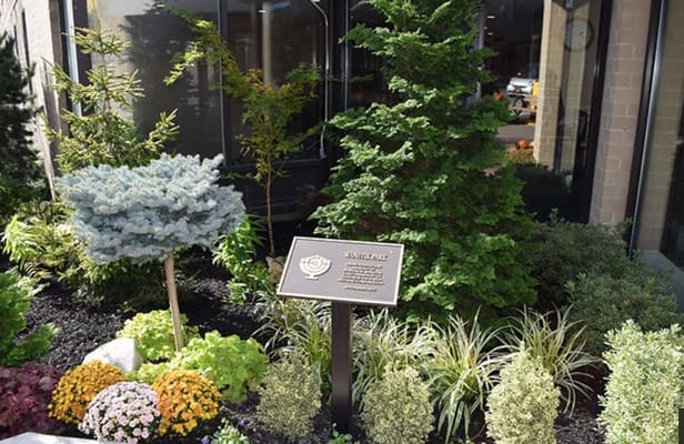 Landscaped outdoor area with signage
