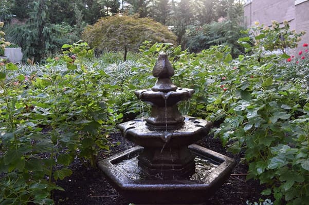 Garden fountain surrounded by lush plants
