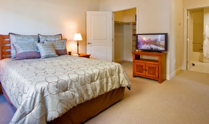Private bedroom with a bed, bedside lamp, and television.