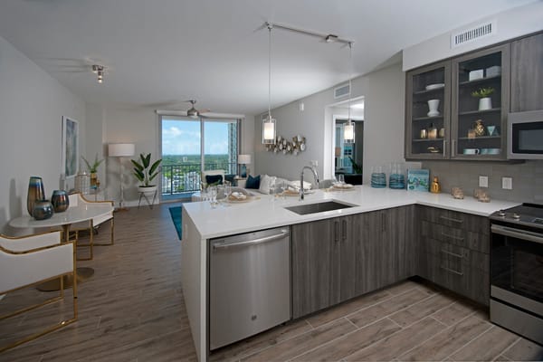 Modern kitchen interior with elegant decor and views