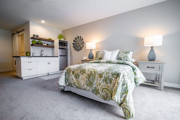 Bright bedroom featuring a queen bed and kitchenette