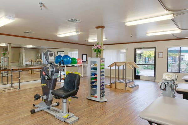 Rehabilitation gym with exercise equipment and therapy tools