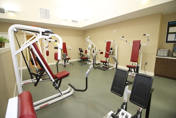 Fitness area with exercise machines in a bright room