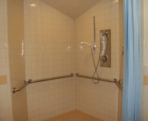 Shower room with grab bars and a showerhead.
