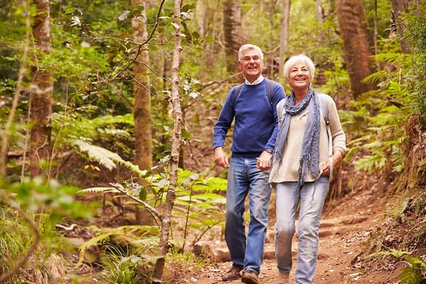Senior couple walking hand in hand on a forest trail