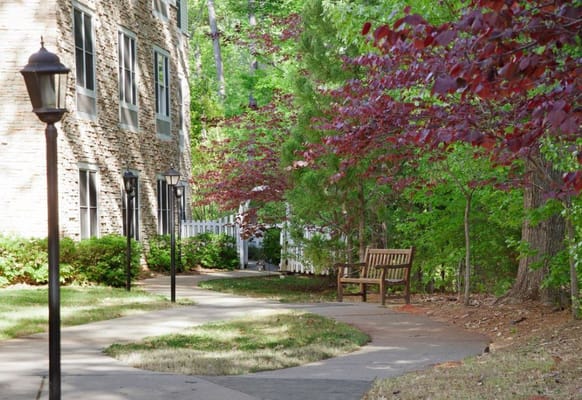 A peaceful walkway with benches and trees