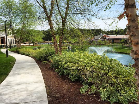 A pathway leading to a serene pond with greenery