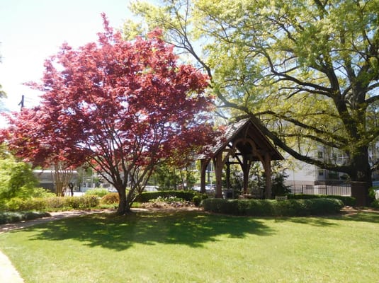 A serene outdoor garden space with a gazebo